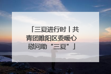 三夏进行时丨共青团睢阳区委暖心慰问助“三夏”