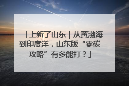 上新了山东｜从黄渤海到印度洋，山东版“零碳攻略”有多能打？