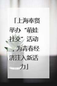 上海奉贤举办“萌娃社交”活动，为青春经济注入新活力