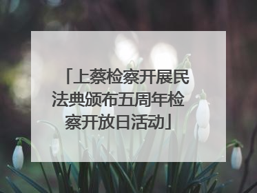 上蔡检察开展民法典颁布五周年检察开放日活动