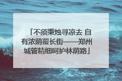 不须秉烛寻凉去 自有浓荫覆长街——郑州城管精细呵护林荫路
