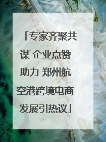 专家齐聚共谋 企业点赞助力 郑州航空港跨境电商发展引热议