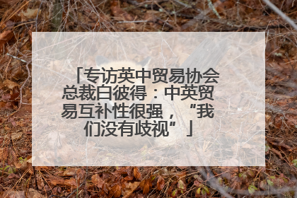 专访英中贸易协会总裁白彼得：中英贸易互补性很强，“我们没有歧视”