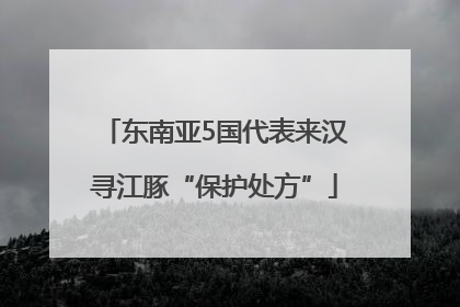 东南亚5国代表来汉寻江豚“保护处方”