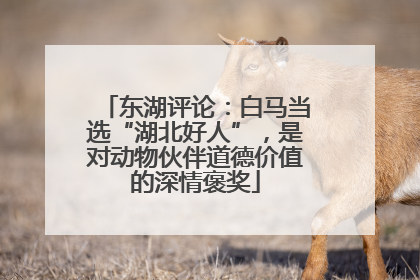 东湖评论：白马当选“湖北好人”，是对动物伙伴道德价值的深情褒奖
