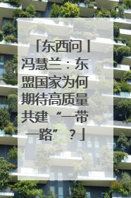 东西问丨冯慧兰：东盟国家为何期待高质量共建“一带一路”？