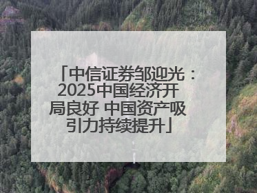 中信证券邹迎光：2025中国经济开局良好 中国资产吸引力持续提升