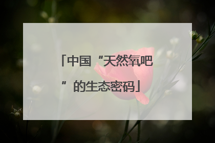 中国“天然氧吧”的生态密码