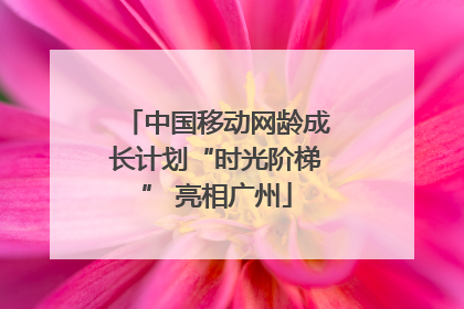 中国移动网龄成长计划“时光阶梯” 亮相广州