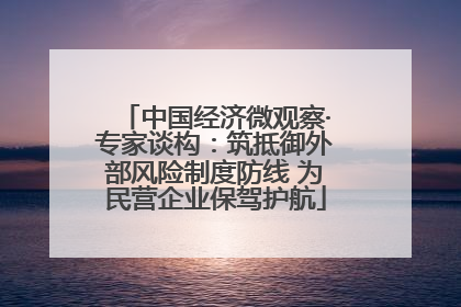中国经济微观察·专家谈构：筑抵御外部风险制度防线 为民营企业保驾护航
