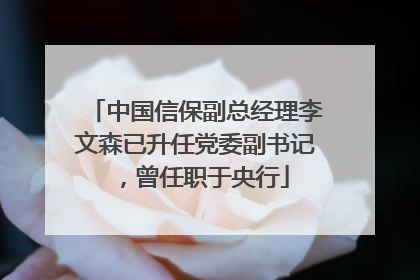中国信保副总经理李文森已升任党委副书记，曾任职于央行