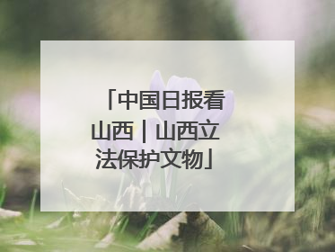 中国日报看山西｜山西立法保护文物