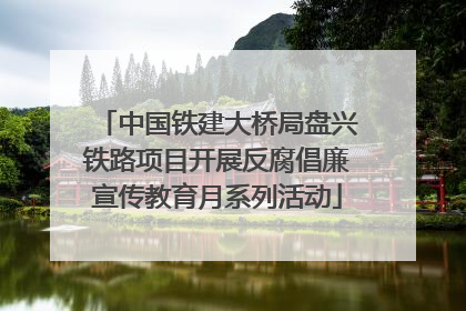 中国铁建大桥局盘兴铁路项目开展反腐倡廉宣传教育月系列活动