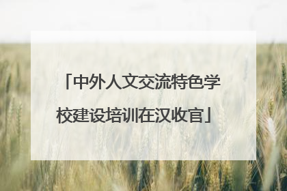 中外人文交流特色学校建设培训在汉收官