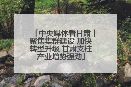 中央媒体看甘肃丨聚焦集群建设 加快转型升级 甘肃支柱产业增势强劲