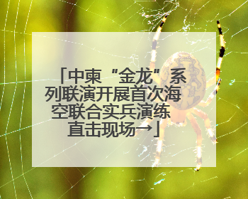 中柬“金龙”系列联演开展首次海空联合实兵演练 直击现场→