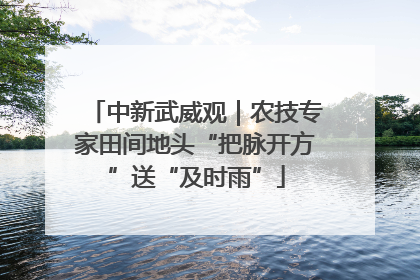 中新武威观｜农技专家田间地头“把脉开方”送“及时雨”