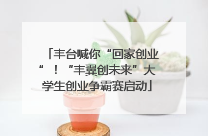 丰台喊你“回家创业”！“丰翼创未来”大学生创业争霸赛启动