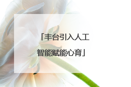 丰台引入人工智能赋能心育