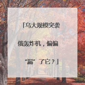 乌大规模突袭俄轰炸机，偏偏“漏”了它？