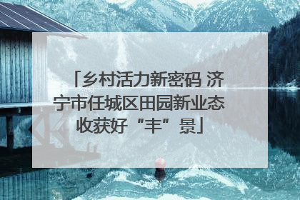 乡村活力新密码 济宁市任城区田园新业态收获好“丰”景