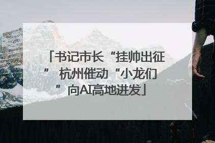 书记市长“挂帅出征” 杭州催动“小龙们”向AI高地进发