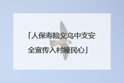 人保寿险义乌中支安全宣传入村暖民心