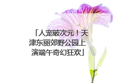 人宠破次元！天津东丽郊野公园上演端午奇幻狂欢