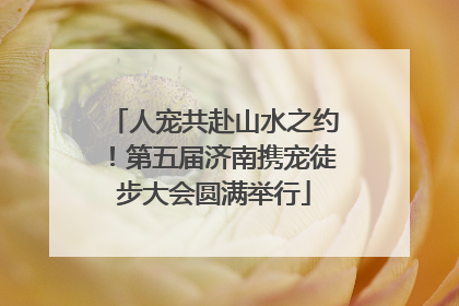 人宠共赴山水之约！第五届济南携宠徒步大会圆满举行