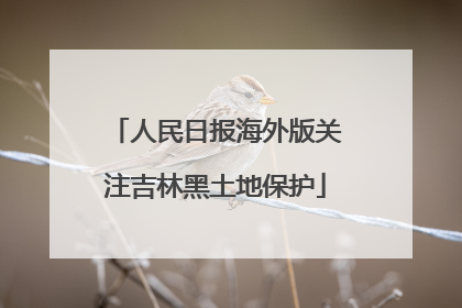 人民日报海外版关注吉林黑土地保护