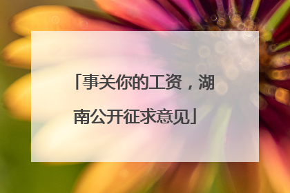 事关你的工资，湖南公开征求意见
