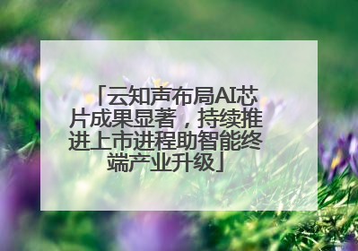 云知声布局AI芯片成果显著，持续推进上市进程助智能终端产业升级
