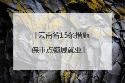 云南省15条措施保重点领域就业