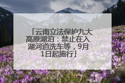 云南立法保护九大高原湖泊：禁止在入湖河道洗车等，9月1日起施行