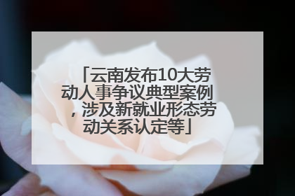云南发布10大劳动人事争议典型案例，涉及新就业形态劳动关系认定等