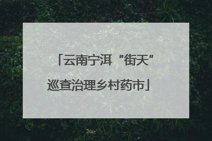 云南宁洱“街天”巡查治理乡村药市