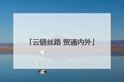云链丝路 贸通内外