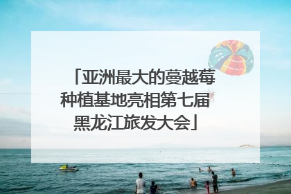 亚洲最大的蔓越莓种植基地亮相第七届黑龙江旅发大会