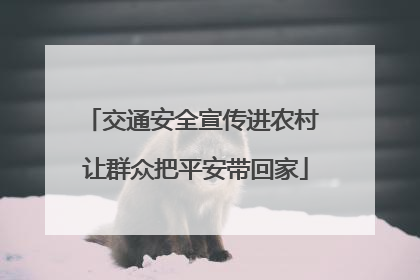 交通安全宣传进农村 让群众把平安带回家
