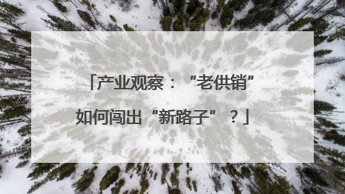 产业观察：“老供销”如何闯出“新路子”？