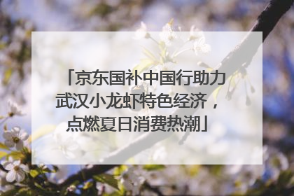 京东国补中国行助力武汉小龙虾特色经济，点燃夏日消费热潮