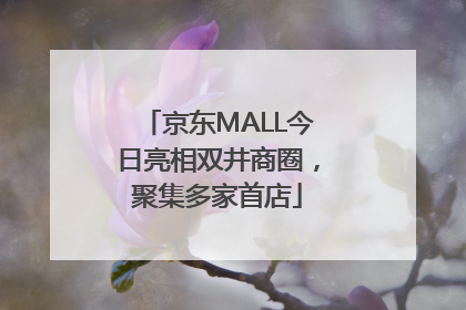 京东MALL今日亮相双井商圈，聚集多家首店