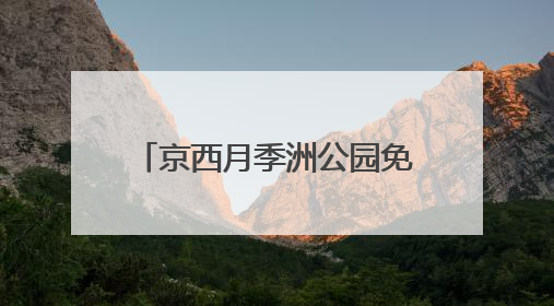 京西月季洲公园免费开放，市民假期驱车前来赏花打卡