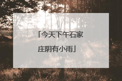 今天下午石家庄阴有小雨