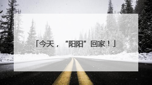 今天，“阳阳”回家！