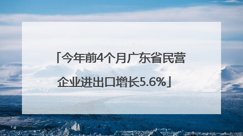 今年前4个月广东省民营企业进出口增长5.6%