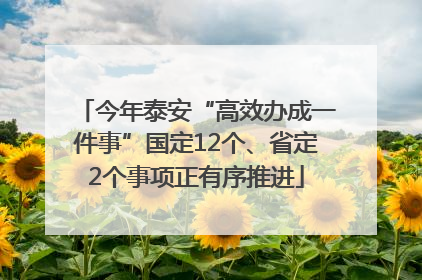今年泰安“高效办成一件事”国定12个、省定2个事项正有序推进