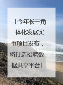 今年长三角一体化发展实事项目发布，将打造招聘数据共享平台