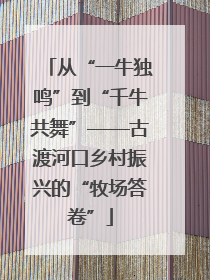 从“一牛独鸣”到“千牛共舞”——古渡河口乡村振兴的“牧场答卷”