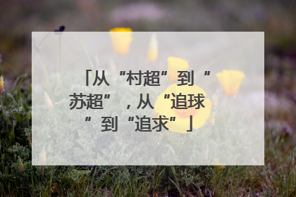 从“村超”到“苏超”，从“追球”到“追求”